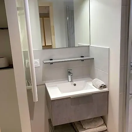 La Maison Du Cocher - Independante Climatisee En Hypercentre - Lit Queen Size アパートホテル