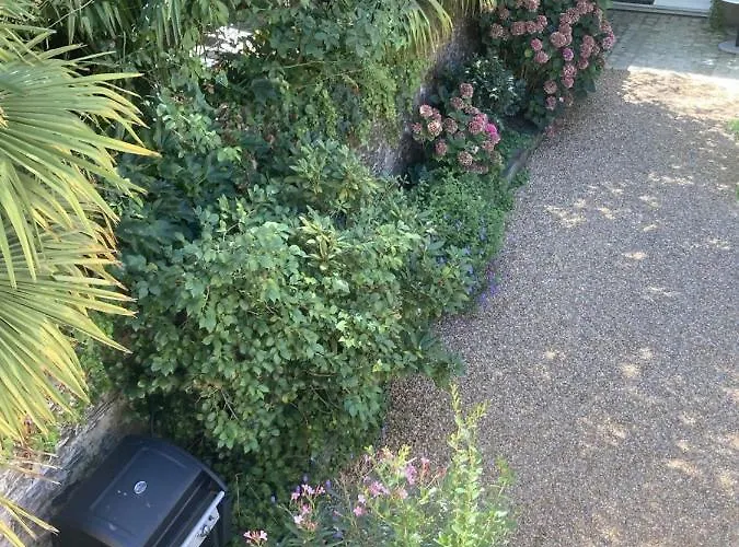 La Maison Du Cocher - Independante Climatisee En Hypercentre - Lit Queen Size Apart-hotel Angers